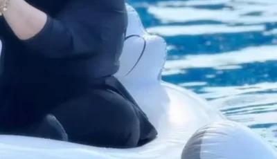 بعد وقوع حادث لها.. شيماء سيف تهدئ جمهورها بأسلوب فكاهي