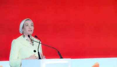 تعيين ياسمين فؤاد كأمينة لاتفاقية دولية يُعتبر إنجازًا هامًا تابعته نجاحات سابقة.