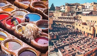 “يوم جديد” يكشف تاريخ صناعة الدباغة في مدينة فاس المغربية