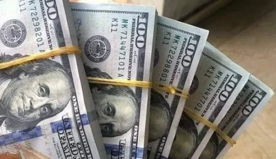 الجنيه المصري يخسر 10 قروش مقابل الدولار خلال تعاملات اليوم