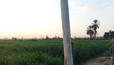 إصلاح عاجل لعمود كهرباء مائل على الطريق السريع بإسنا لحماية الأرواح