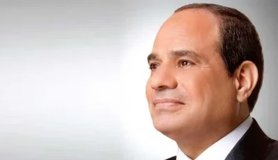 الرئيس السيسي يستقبل الشيخ محمد بن زايد في مطار العلمين بحفاوة