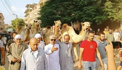 القبائل العربية تتوسط لحل نزاع عائلتي النجار وأبو شقفة في بنها