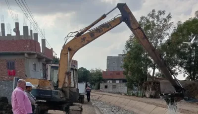زراعة المنوفية: ترخيص 717 مشروعاً زراعياً متنوعاً خلال نصف عام