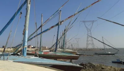 [وزارة البيئة تعلن عن إزالة شباك صيد الطيور المهاجرة بمحمية البرلس]