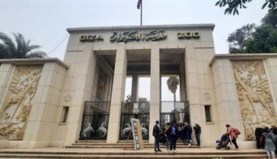 موعد افتتاح حديقة حيوان الجيزة 2025 وأسعار التذاكر الجديدة بعد التطوير