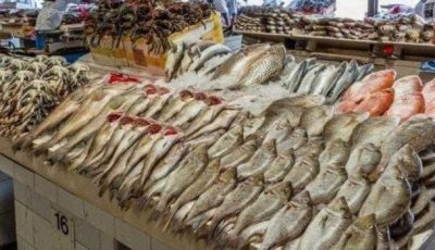 أسعار الأسماك والجمبري اليوم الأربعاء 27 أغسطس 2025: أحدث التحديثات