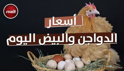 أسعار الدواجن والبيض تشير إلى ارتفاع ملحوظ اليوم الإثنين 25 أغسطس 2025