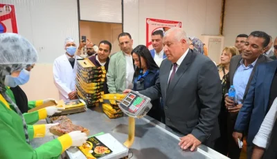 وزيرة التضامن توجه باستصلاح 5 آلاف فدان وزراعتهم بالنخيل في الوادي الجديد