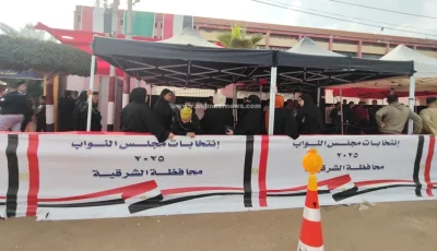 ضبط شخصين بالقليوبية بحوزتهما كروت دعائية أمام لجنة انتخابية بالقاهرة