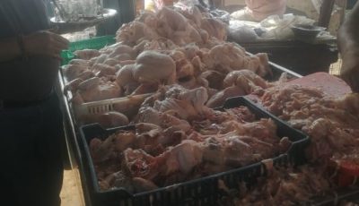 القليوبية.. الطب البيطري يضبط 130 طن أغذية فاسدة ويحصن 131 ألف رأس ماشية