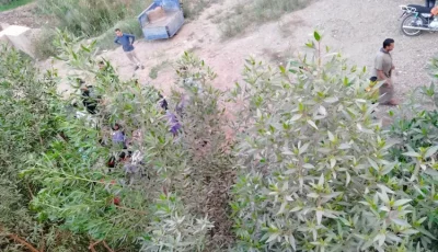 إصابة شخصين بانقلاب تروسيكل على طريق دمو بالفيوم