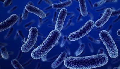 بعد انتشاره في عدة دول.. «الصحة» تحسم الجدل: مصر خالية من فيروس ماربورغ