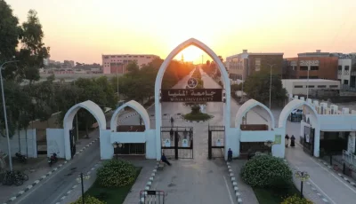 جامعة المنيا تعلق على اتهامات خريجة لعضو هيئة تدريس: لا معلومات رسمية ونحتفظ بحقنا القانوني