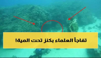 تاريخي: اكتشاف مرجان عمره 800 عام في السعودية – كنز طبيعي يُذهل العلماء ويُغير خريطة السياحة!