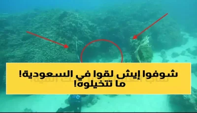 عاجل: السعودية تكشف كنزاً عمره 800 عام في البحر الأحمر – عملاق مرجاني يعيد كتابة تاريخ السياحة العالمية!