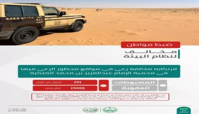 صادم: غرامة 16 ألف ريال لمتر مكعب واحد من الحطب في طويق – هل تعرف ما يحدث للمخالفين؟