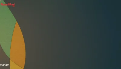 عاجل: نتائج الضمان ديسمبر 2025 تظهر 27 نوفمبر – تحقق من أهليتك فوراً!