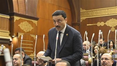 مجلس الشيوخ يناقش مقترح النائب محمد رزق بشأن الزام المدارس بتركيب كاميرات مراقبة كاملة