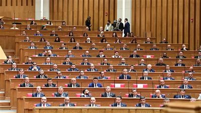 كيف انحاز النواب للمواطن في “أزمة باقات النت” .. انتفاضة برلمانية في وجه الحكومة استجابة لمطالب الشارع