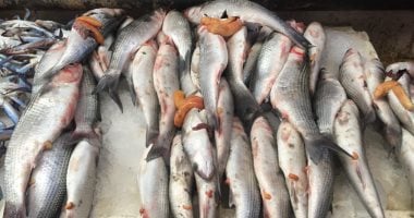 أسعار الأسماك اليوم الأربعاء 4-2-2026 بأسواق مطروح.. البوري بـ160 جنيها