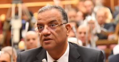 برلمانية الجبهة الوطنية عن قرار الأعلى للإعلام بحجب “روبلوكس”: خطوة ضرورية لحماية النشء