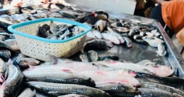 اعرف أسعار الأسماك فى أسواق دمياط اليوم الأربعاء 4-2-2026