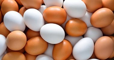 اعرف أسعار الألبان والبيض والشاى والبقوليات بسوهاج اليوم الثلاثاء