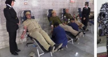 بالقانون.. تفاصيل تشكيل مجلس مراقبة عمليات الدم و اختصاصاته