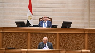 بقيمة 3.478 مليار ين.. البرلمان يوافق نهائيا على منحة يابانية للحصول على سفينة دعم الغوص لصالح قناة السويس