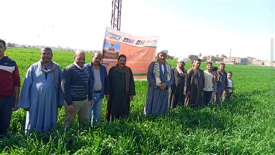 اعتماد دولي وأنشطة ميدانية واسعة.. الزراعة تكشف حصاد مركز البحوث الزراعية في أسبو