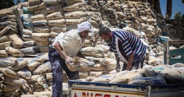 سعر الأسمنت اليوم الثلاثاء 3 – 3 -2026 الطن بـ4200 جنيه
