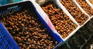 أسعار البلح السيوى والتمور بأسواق مطروح اليوم الأربعاء 11-3-2026
