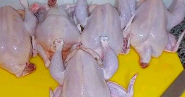 سعر كيلو الفراخ بالقليوبية الثلاثاء 24 – 3 – 2026.. البيضا بـ85 جنيها