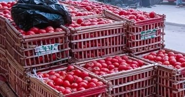 كيلو الطماطم بكام؟.. أسعار الخضراوات والفاكهة بكفر الشيخ اليوم الإثنين
