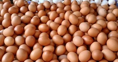 سعر طبق البيض بالقليوبية الأحد 22 – 3 – 2026.. الأبيض بـ 130 جنيها