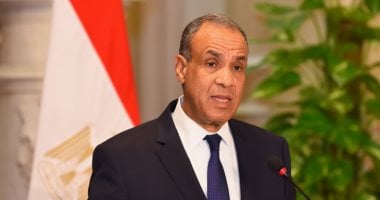 وزير الخارجية: الأشقاء العرب لم يطالبوا مصر بالتدخل عسكريا
