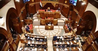 ولاء هرماس: مشروع نادى الذكاء الاصطناعى خطوة لاكتشاف المواهب فى الصعيد