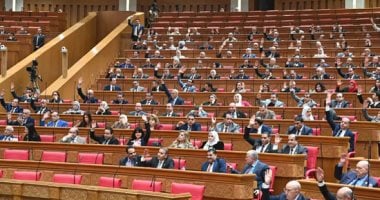 نائب مستقبل وطن: التكاتف العربي ضرورة لمواجهة التحديات الراهنة