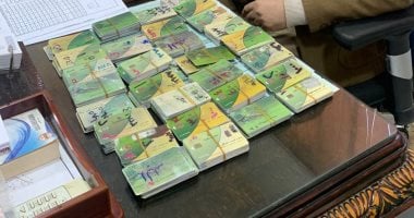 محافظ الدقهلية يعلن ضبط 510 بطاقات تموينية بمخبز بطوخ الأقلام بالسنبلاوين
