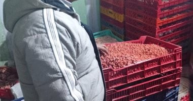 محافظ الدقهلية ضبط 1.7 طن منتجات لحوم غير صالحة فى حملة للطب البيطرى