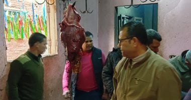 محافظ المنوفية: ضبط سلخانة مخالفة داخل منزل بإحدى قرى الباجور