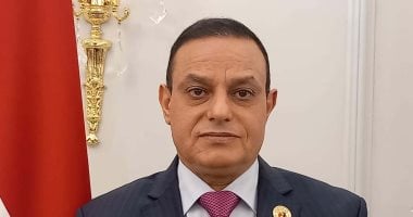 النائب مختار همام: الرئيس السيسي يقود جهود تثبيت التهدئة في غزة ودعم حقوق الفلسطينيين