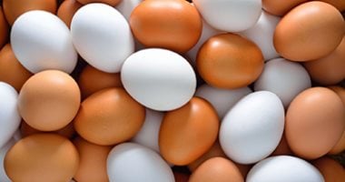 سعر طبق البيض بالقليوبية الثلاثاء 24 – 3 – 2026.. الأبيض بـ 123 جنيها