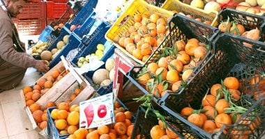 كيلو الطماطم بـ40 جنيها.. اعرف أسعار الخضراوات والفاكهة بالوادى الجديد