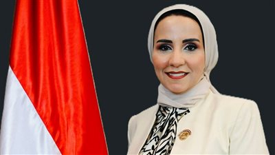 تحرك برلماني من النائبة ولاء هرماس لدراسة أثر قانون تنظيم نشاط التمويل الاستهلاكي.. وتحذيرات من ممارسات شركات التحصيل