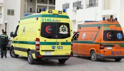 مأساة أسرية تهز قرية مصرية.. زوج يقتل زوجته أمام طفليه  – أخبار السعودية