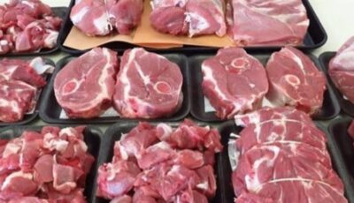 رئيس شعبة القصابين: طرح لحوم سودانية وجيبوتية بالمجمعات الاستهلاكية بأسعار 350-400 جنيه للكيلو