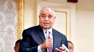 إبراهيم نظير: العداد الكودي إجراء تنظيمي مؤقت وليس ليس تقنينًا