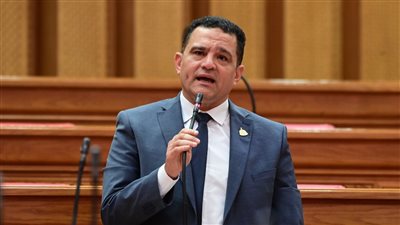 “يوم الوفاء لأصحاب المعاشات”.. مقترح برلماني لتخصيص يوم سنوي لتكريم أصحاب العطاء في الدولة